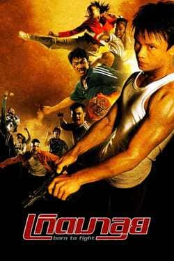 เกิดมาลุย Born to Fight (2004)